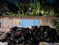 Penumpukan Sampah Hampir Sebulan di Kelurahan Cengkareng Barat Dikeluhkan Warga, Koordinasi Pengurus Lingkungan Dipertanyakan