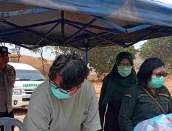 Karantina Kepri Musnahkan 29 Ton Bawang Putih Asal Cina yang Rusak